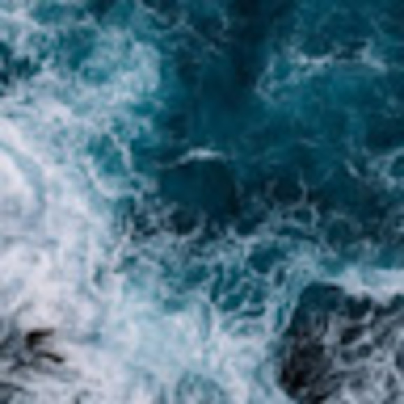 Meet your Posher, Caroline - Picture 1 of 1